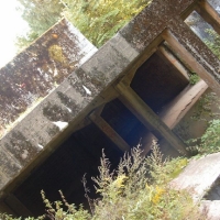 simg0319