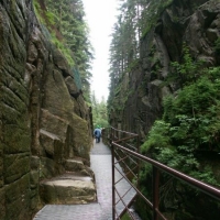200