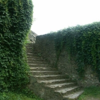651