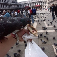 1355