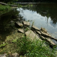 pict0117