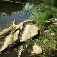 pict0121a