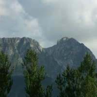 pict5436