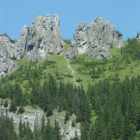 pict5771