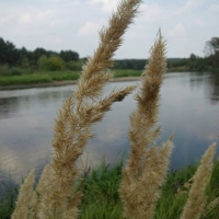 dsc09476