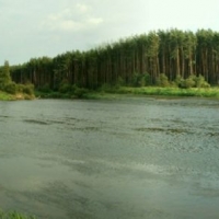 dsc09495