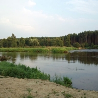 dsc09501