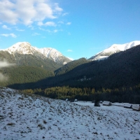 040