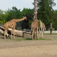 20180502_145158