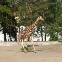 20180502_145206