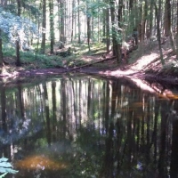 20180724_104445