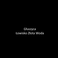 20180724_143604