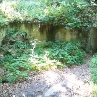 20180724_170739