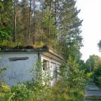 20180726_175710_HDR