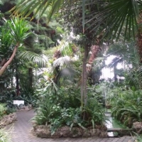 20180727_144638