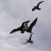 IMG_20200827_132546