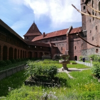 IMG_20210606_145341