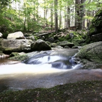 IMG_20210809_180643