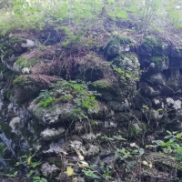 IMG_20211002_104104